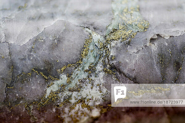 A core sample with gold  Pebble mine site  Illiamna  Alaska