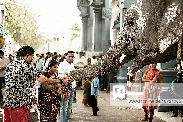 People getting blessed by a painted elephant at a busy temple.