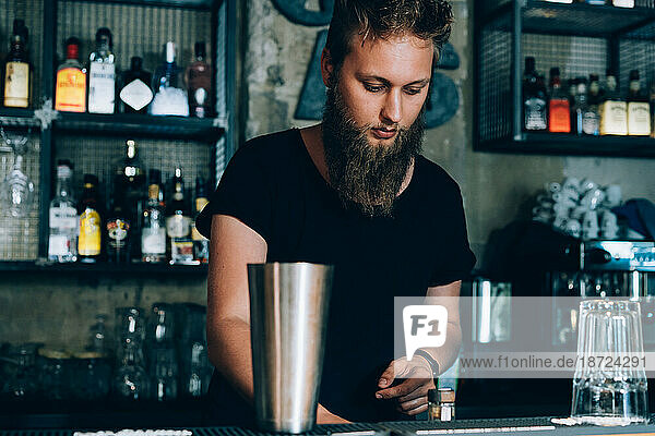 Barman Preparing a Mojito In A Cocktail Bar.