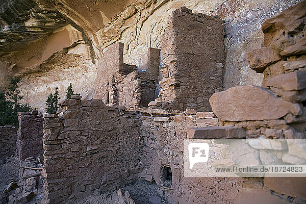 Utah's Grand Gulch is home to countless prehistoric cliff dwellings and rock art.