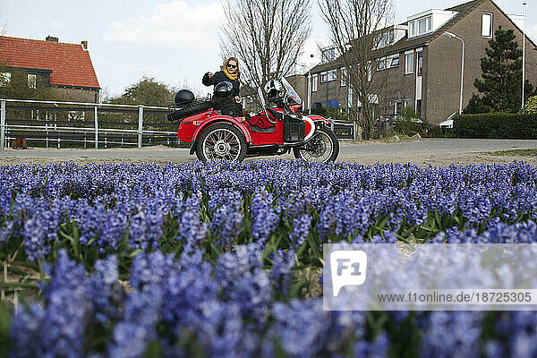 A motorcycle tour guide explaining the tulip fields in Holland.