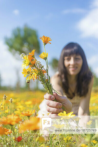 Young Happy Woman gives Flowers in sunny meadow