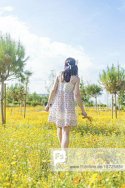 Rear view of a beautiful woman in dress walking through a field of flowers carrying her shoes