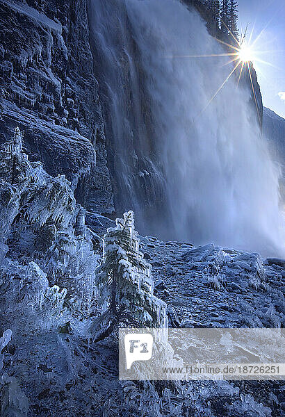 A land completely encased in ice from spray off the massive Emperor Falls awaits the emerging sunlight in Mt. Robson Provincial Park