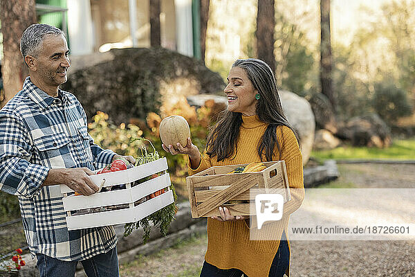 Mann und Frau tragen Kisten mit frisch geerntetem Bio-Gemüse und unterhalten sich auf dem Bauernhof