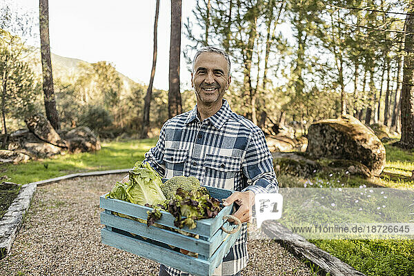 Mature man standing in garden carrying crate with fresh vegetables