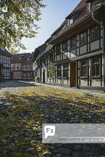 Germany  Saxony-Anhalt  Wernigerode  Half-timbered townhouses along cobblestone street