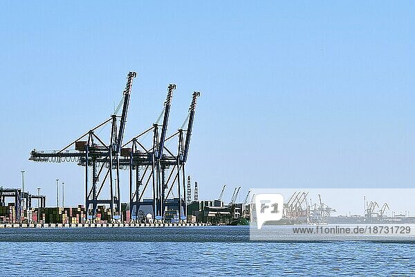 Blick auf Hafenkräne  Ladebrücken und Containerterminal. Seehandel  Transport  Handel und Fracht