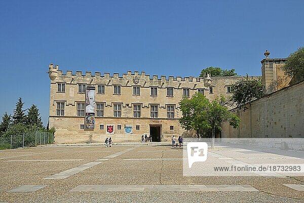Musée du Petit Palais  Place du Palais  Museum  Fußgänger  Banner  Avignon  Vaucluse  Provence  Frankreich  Europa