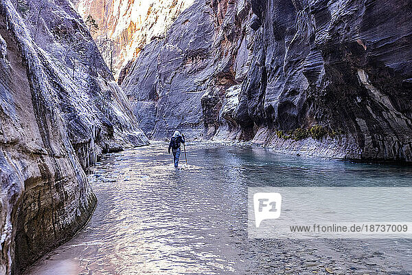 USA  Utah  Springdale  Zion National Park  Senior woman crossing river while hiking in mountains