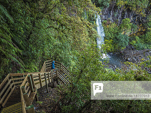 New Zealand  Taranaki  Egmont National Park  Hiker walking down wooden stairs towards waterfall