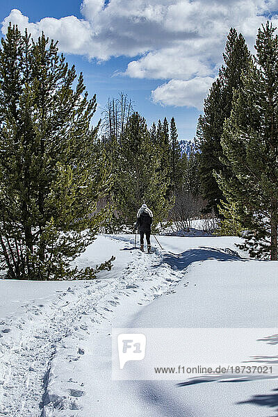 USA  Idaho  Sun Valley  Senior woman hiking in snowy forest