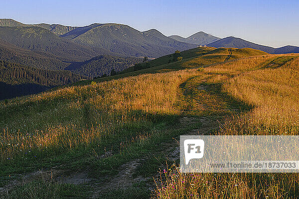 Ukraine  Ivano Frankivsk region  Verkhovyna district  Dzembronya village  Rolling landscape in Carpathian Mountains at sunset