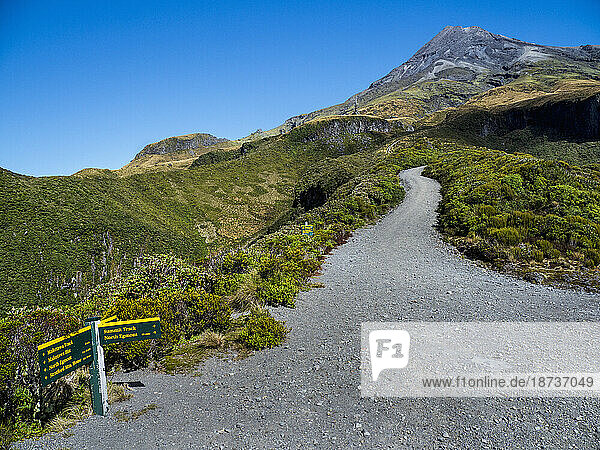 New Zealand  Taranaki  Egmont National Park  Hiking trail