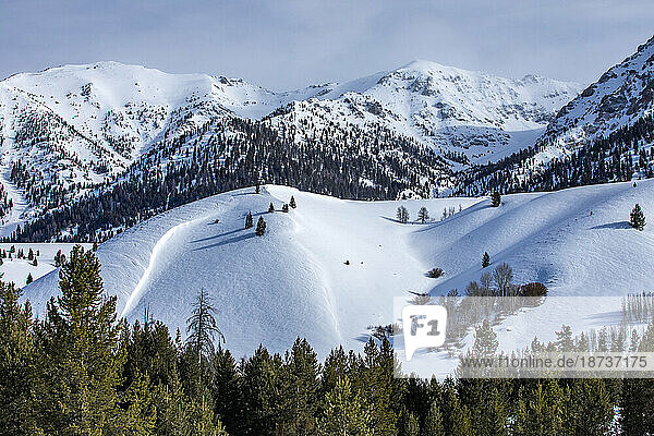USA  Idaho  Sun Valley  Snow-covered mountains with forests