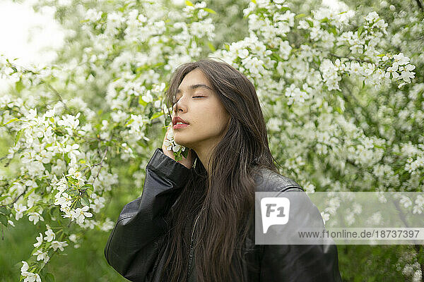 Portrait of teenage girl (16-17) with blooming apple tree