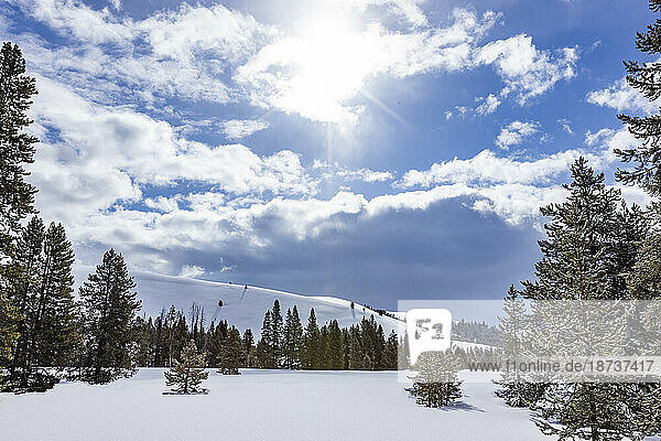 USA  Idaho  Ketchum  Winter scenery at sunny day 