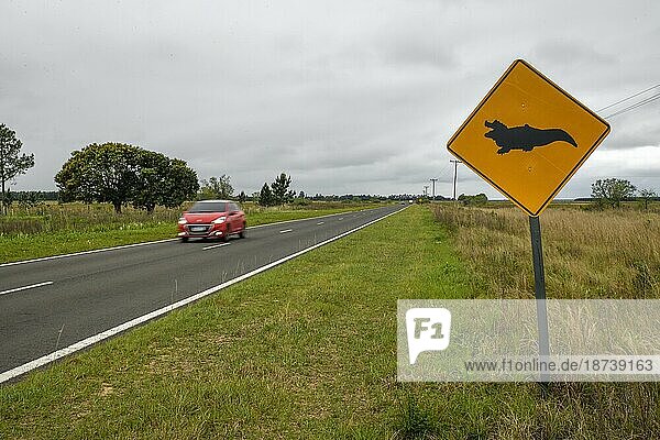 Schild Vorsicht Kaimane  bei Loreto  Esteros del Iberá  Provinz Corrientes  Argentinien  Südamerika