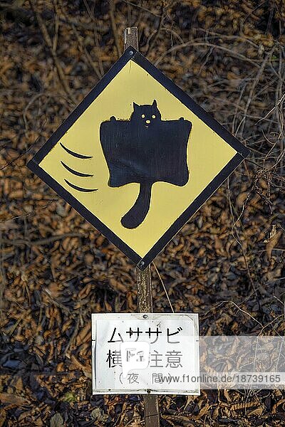 Kurioses Schild  Warnung vor Japanisches Riesengleithörnchen (Petaurista leucogenys)  bei Kariuzawa  Nagano-Präfektur  Insel Honshu  Japan  Asien