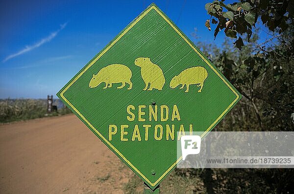 Schild Vorsicht vor Capybaras (Hydrochoerus hydrochaeris)  Colonia Carlos Pellegrini  Esteros del Iberá  Provinz Corrientes  Argentinien  Südamerika