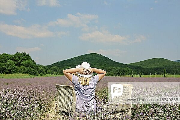 Rückansicht einer Frau in Kleid und weißem Hut  die inmitten eines Lavendelfeldes sitzt  sich auf einem Holzstuhl ausruht und die malerische Aussicht genießt  grüne Hügel im Hintergrund. Erholung Konzept