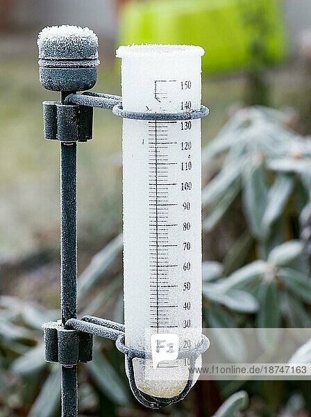 Meteorologie mit einem Regenmesser im Garten eingefroren nach einer kalten Nacht