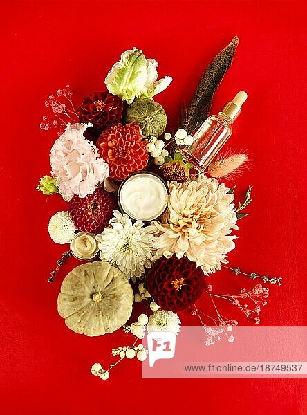 Set von natürlichen kosmetischen Produkten  Gesichtscreme und Tropfflasche mit ätherischem Öl auf rotem Hintergrund mit bunten Blumen  flach legen Bild. Hautpflege  Schönheit und Naturkosmetik Konzept