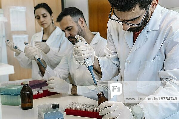 Forschungslabor: Ein Team von Wissenschaftlern arbeitet mit einer Pipette. Entwicklung der Mikrobiologie
