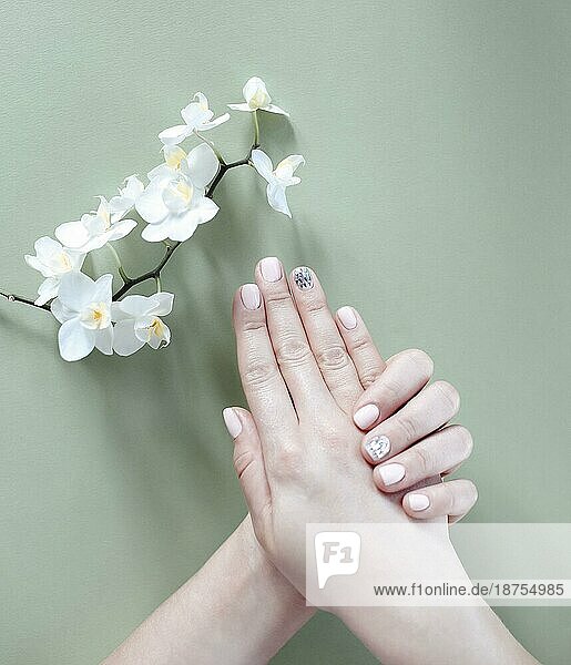 Topansicht der Ernte weibliche Hände mit blühenden Blume demonstriert stilvolle saubere Maniküre auf konkreten Hintergrund