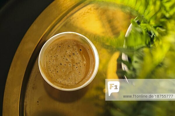 Blick von oben auf eine Kaffeetasse auf einem Kaffeetisch mit grüner Topfpflanze  selektiver Fokus. Aromatisch duftender  frisch gebrühter Cappuccino oder Milchkaffee mit Schaum  serviert in einem Coffeeshop