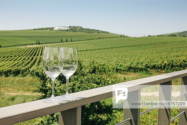 Weinrebe  zwei Gläser mit Weißwein auf Weinbergshintergrund