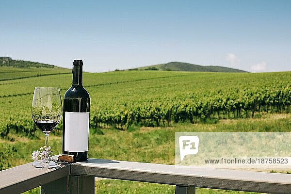 Rotweinflasche  Weinrebe  Glas und Korken auf Weinberg Hintergrund