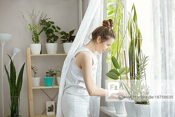 Junge Frau mit Zöpfen lächelt und kümmert sich um Topfpflanzen bei der Gartenarbeit am Wochenende zu Hause