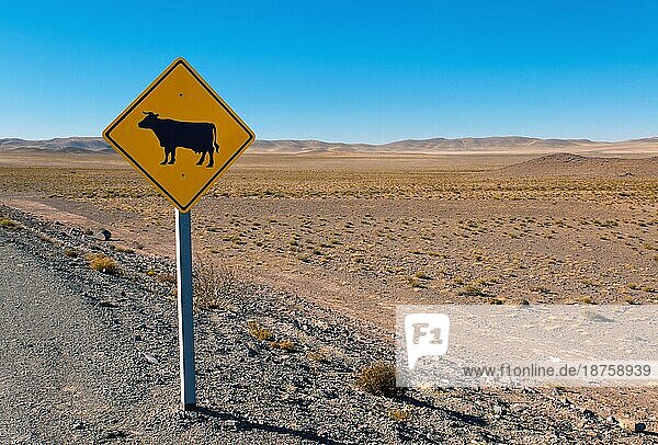 Ein Verkehrsschild  daß vor Kühen warnt  in den argentinischen Anden