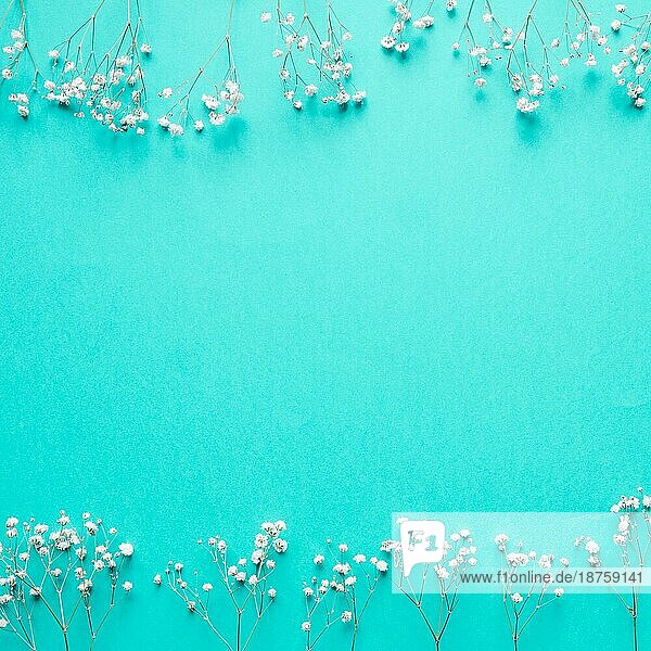 Weiße Blumen blau