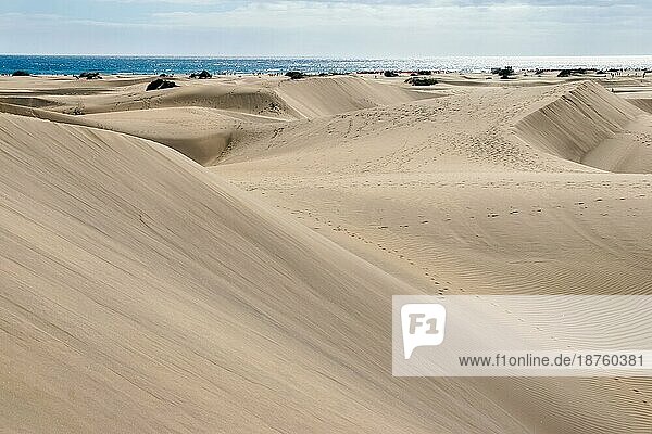 Ein Blick auf die Sanddünen bei Maspalomas Gran Canaria