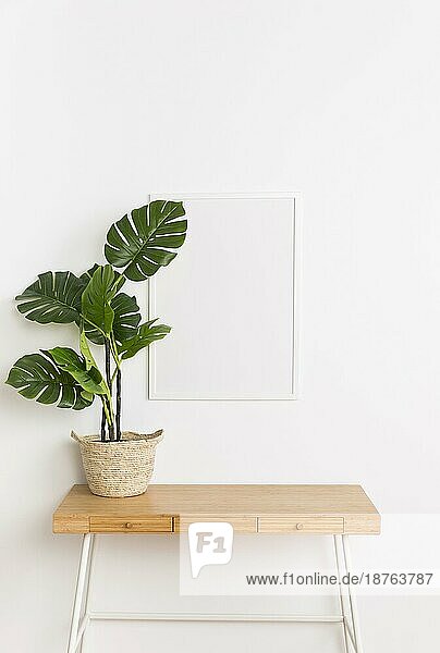 Dekorative Pflanze mit leerem Rahmen. Auflösung und hohe Qualität schönes Foto