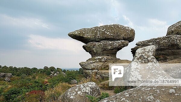 Blick auf die Brimham Rocks im Yorkshire Dales National Park