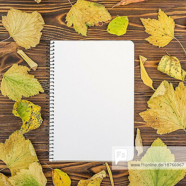 Draufsicht Notebook umgeben von Herbstlaub