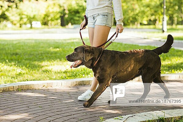 Frau spazieren mit ihrem Hund Spaziergang Park. Auflösung und hohe Qualität schönes Foto