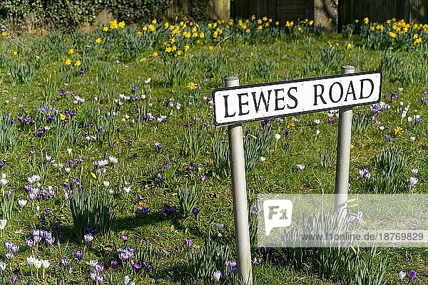 EAST GRINSTEAD  WEST SUSSEX  UK - 1. MÄRZ : Blick auf das Straßenschild von Lewes in East Grinstead West Sussex am 1. März 2021
