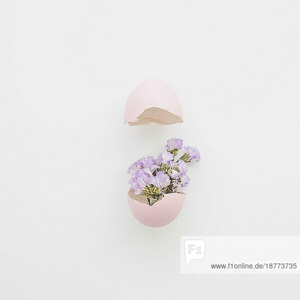 Schöne Blumen Eierschale. Foto mit hoher Auflösung
