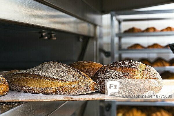 Holzschaufel mit frisch gebackenem Brot aus dem Ofen. Auflösung und hohe Qualität schönes Foto