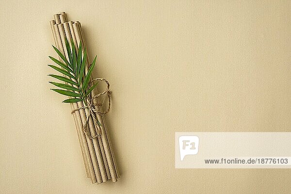 Gebundenen Bambus Bio-Strohhalme Blätter kopieren Raum. Auflösung und hohe Qualität schönes Foto