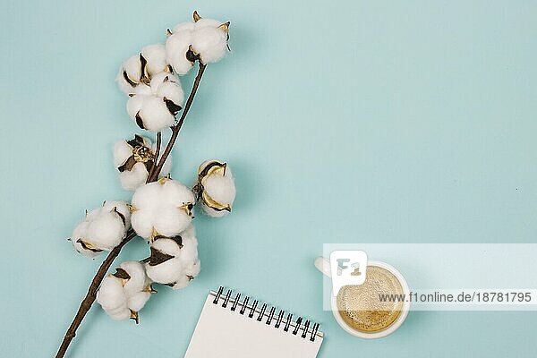 Draufsicht Baumwolle Blume Spirale Notizblock Kaffeetasse blauem Hintergrund . Auflösung und hohe Qualität schönes Foto