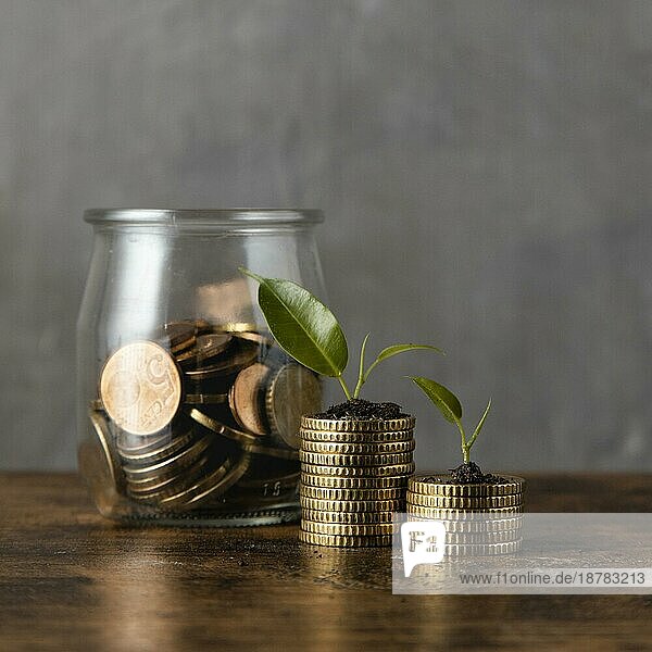 Vorderansicht zwei Stapel Münzen mit Pflanzengefäß. Foto mit hoher Auflösung