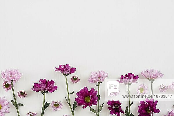Blumen Hintergrund Kopie Raum 3. Auflösung und hohe Qualität schönes Foto