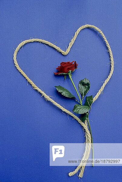 Herz aus Seil mit roter Rose  Herz mit Rose  stilisiertes Herz