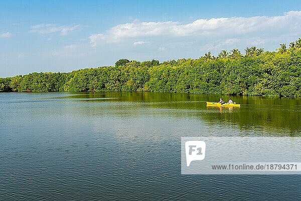 Die Rekawa Lagune ist eine malerische Küstenlagune im Süden Sri Lankas  die an der Ostseite der kleinen Stadt Tangalle liegt. Der See hat eine große biologische Vielfalt mit einer Vielzahl von Flora und Fauna