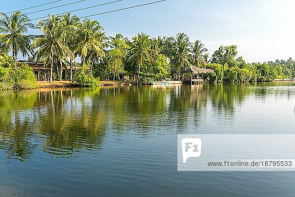 Die Rekawa Lagune ist eine malerische Küstenlagune im Süden Sri Lankas  die an der Ostseite der kleinen Stadt Tangalle liegt. Der See hat eine große biologische Vielfalt mit einer Vielzahl von Flora und Fauna